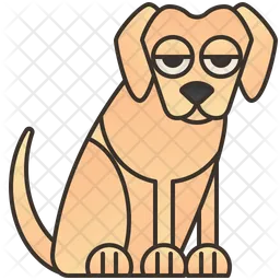 Labrador  Icon