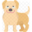 Labrador Icon