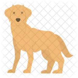 Labrador  Icon