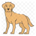 Labrador Dog Puppy Icon