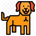 Labrador Dog Icon