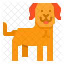 Labardor Dog Animal Icon