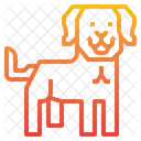 Labrador Hund Tier Icon