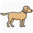Labrador Icon