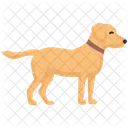 Labrador Labrador Retriever Retriever Icon