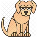 Labrador  Icon