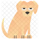 Labrador  Ícone