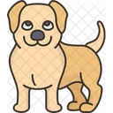 Labrador  Icon