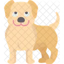 Labrador  Ícone
