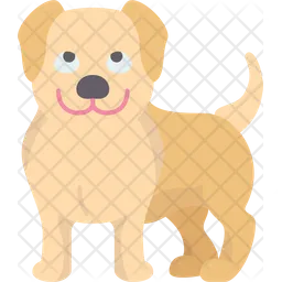 Labrador  Ícone