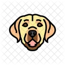 Labrador Retriever Dog Icon