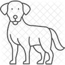 Labrador Retriever Labradorretriever Dog Icon