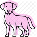 Labrador Retriever Labradorretriever Dog Icon