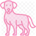 Labrador Retriever Labradorretriever Dog Icon