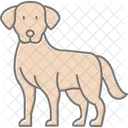 Labrador Retriever Labradorretriever Dog Icon