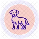 Labrador Retriever Icon