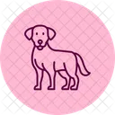 Labrador Retriever Labradorretriever Dog Icon