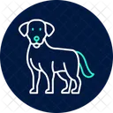 Labrador Retriever Labradorretriever Dog Icon