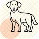 Labrador Retriever Labradorretriever Dog Icon