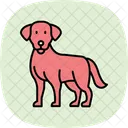 Labrador Retriever Labradorretriever Dog Icon