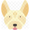 Labrador Retriever Freundlich Saugetier Symbol