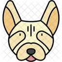 Labrador Retriever Freundlich Saugetier Symbol