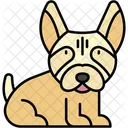 Labrador Retriever Freundlich Saugetier Symbol