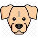 Labrador Retriever Pet Dog Dog Icon