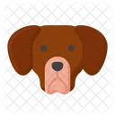 Labrador Retriever Pet Dog Dog Icon