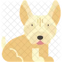 Labrador Retriever Friendly Mammal Icon