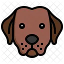 Labrador Retriever  Icon