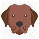 Labrador Retriever  Icon