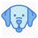 Labrador Retriever  Icon