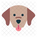 Labrador Retriever  Icon
