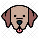 Labrador Retriever  Icon