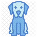 Labrador Retriever  Icon