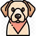 Labrador Retrievers Dog Puppy Icon