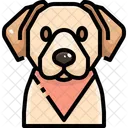 Labrador Retrievers Dog Puppy Icon