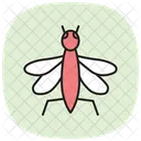 Lacewing Insect Chrysopidae Icon