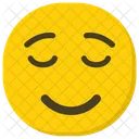 Lachelndes Gesicht Glucklicher Smiley Emoji Icon