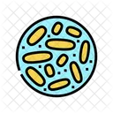 Lactobacillus Bacteria  Icon