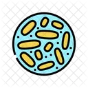 Lactobacillus Bakterien Lactobacillus Bakterium Symbol