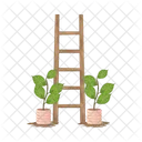 Ladder  Icon