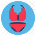 Ladies Undergarments  Icon