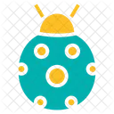 Lady Bug Insect Icon