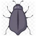 Lady Beetle  Icon