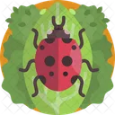 Nature Lady Bird Insect Icon