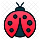 Lady Bug  Icon