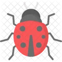 Lady Bug Icon