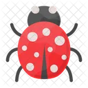 Lady Bug  Icon